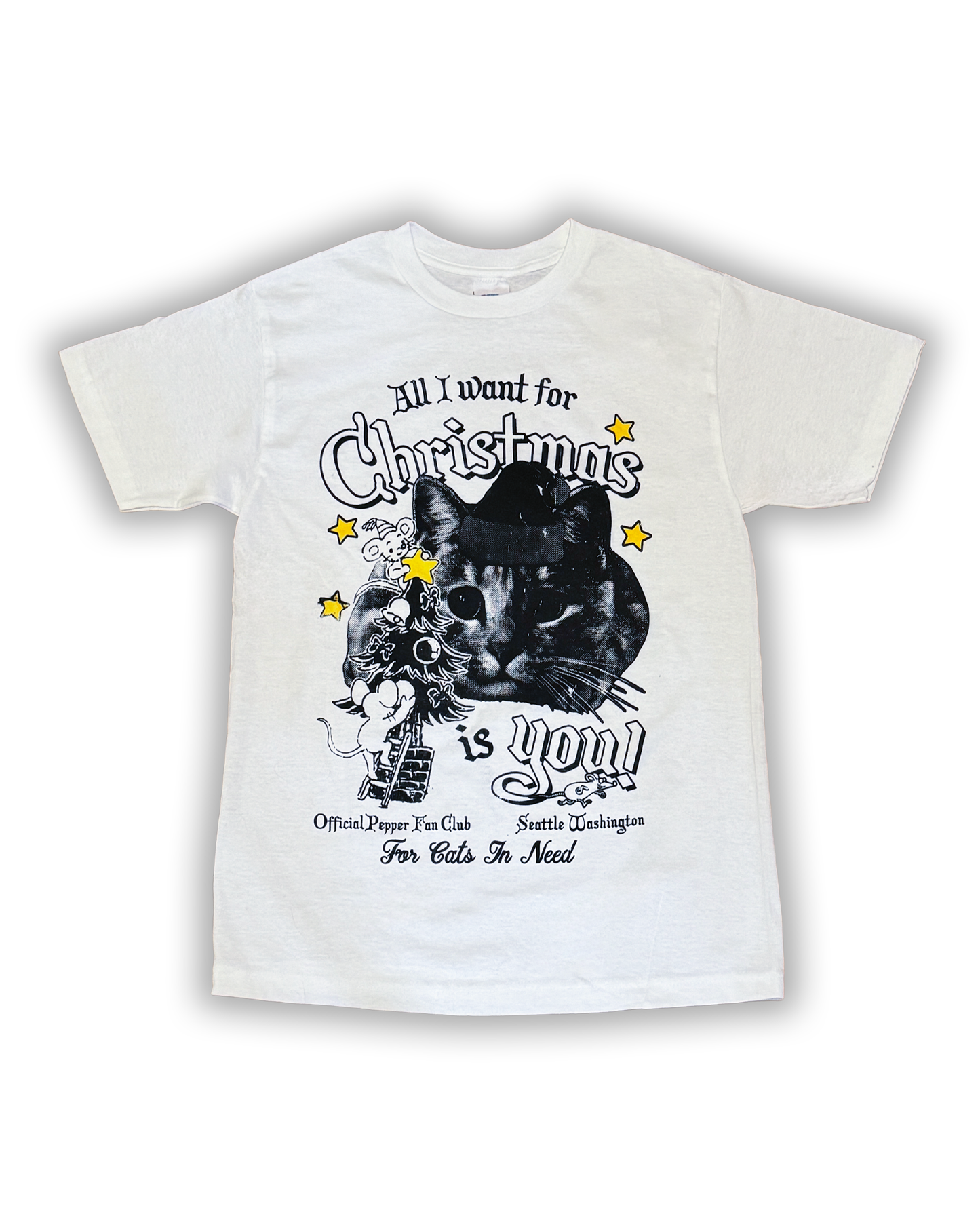 'All I Want for Christmas' T-Shirt (Black)