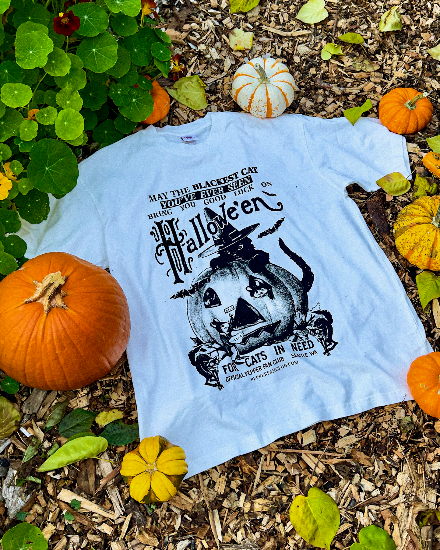 'Blackest Cat' Halloween T-Shirt