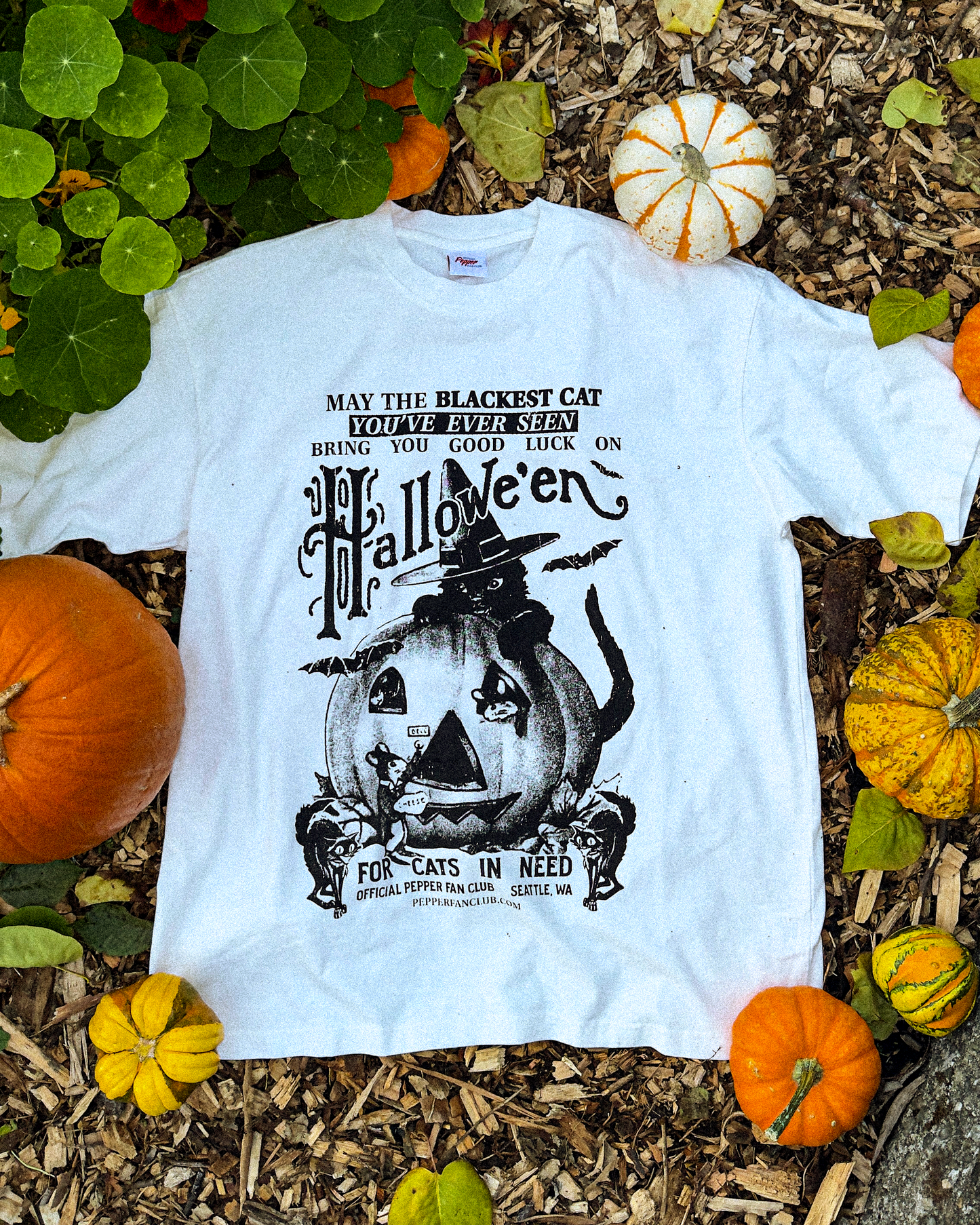 'Blackest Cat' Halloween T-Shirt