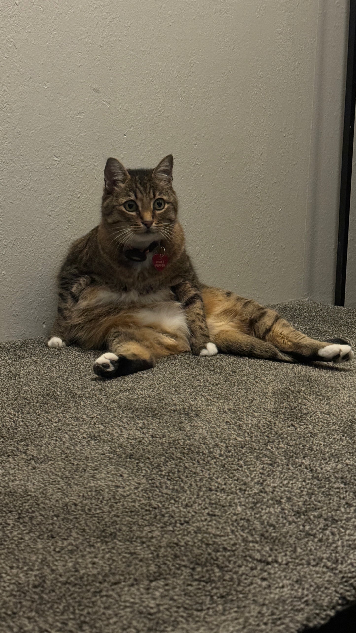 Official Pepper Fan Club Membership Package