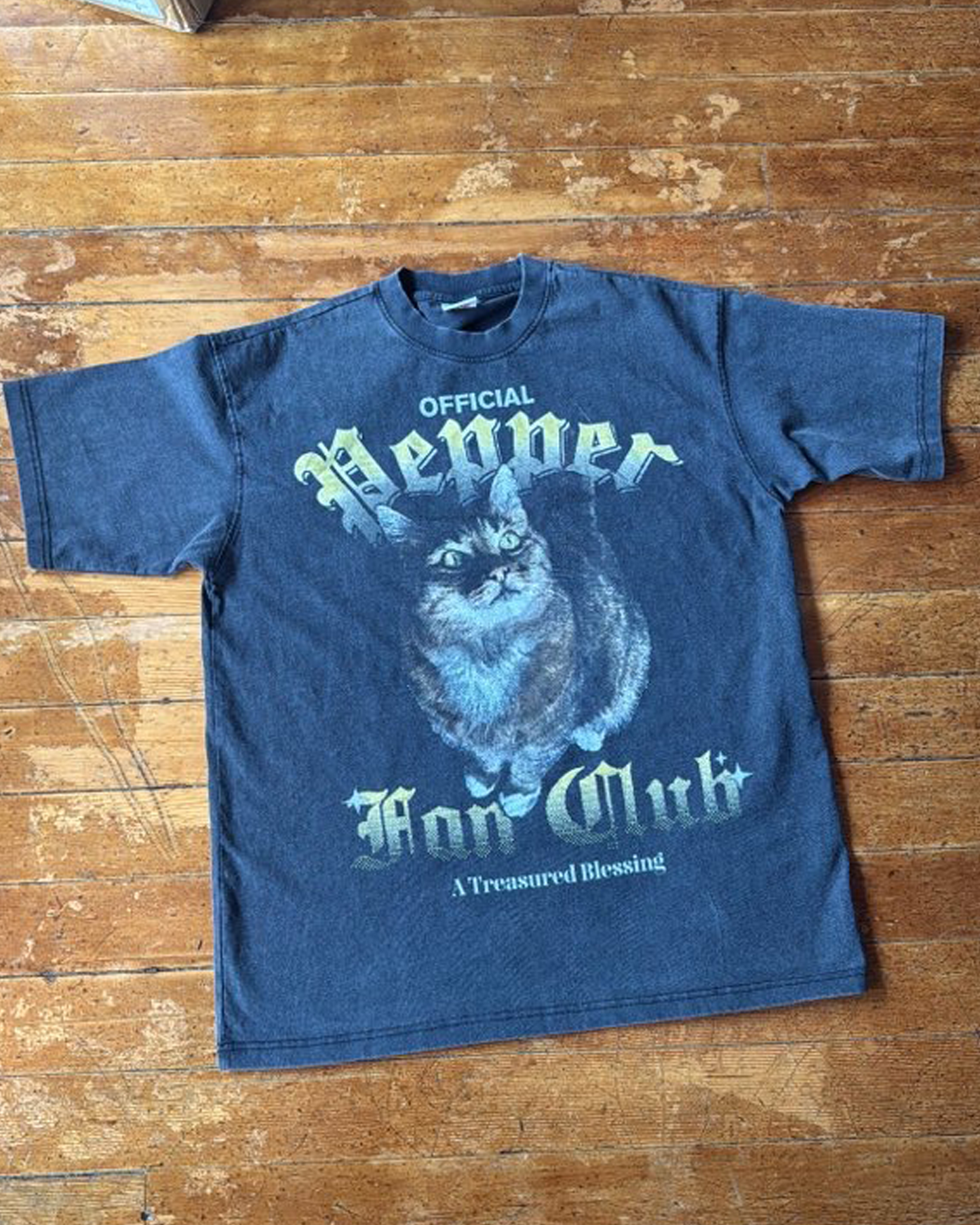 'A Treasured Blessing' T-Shirt