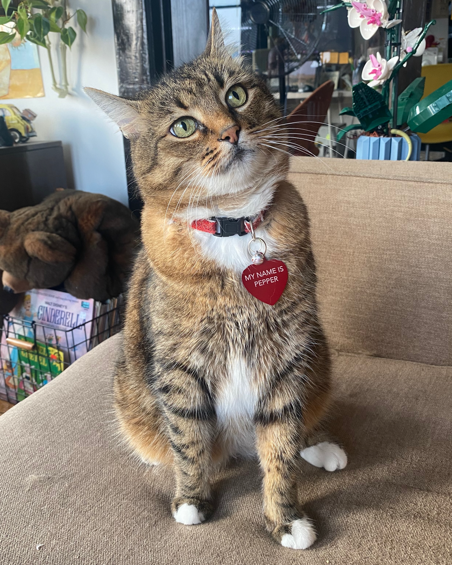 'Handsome Cat' Dress Shirt