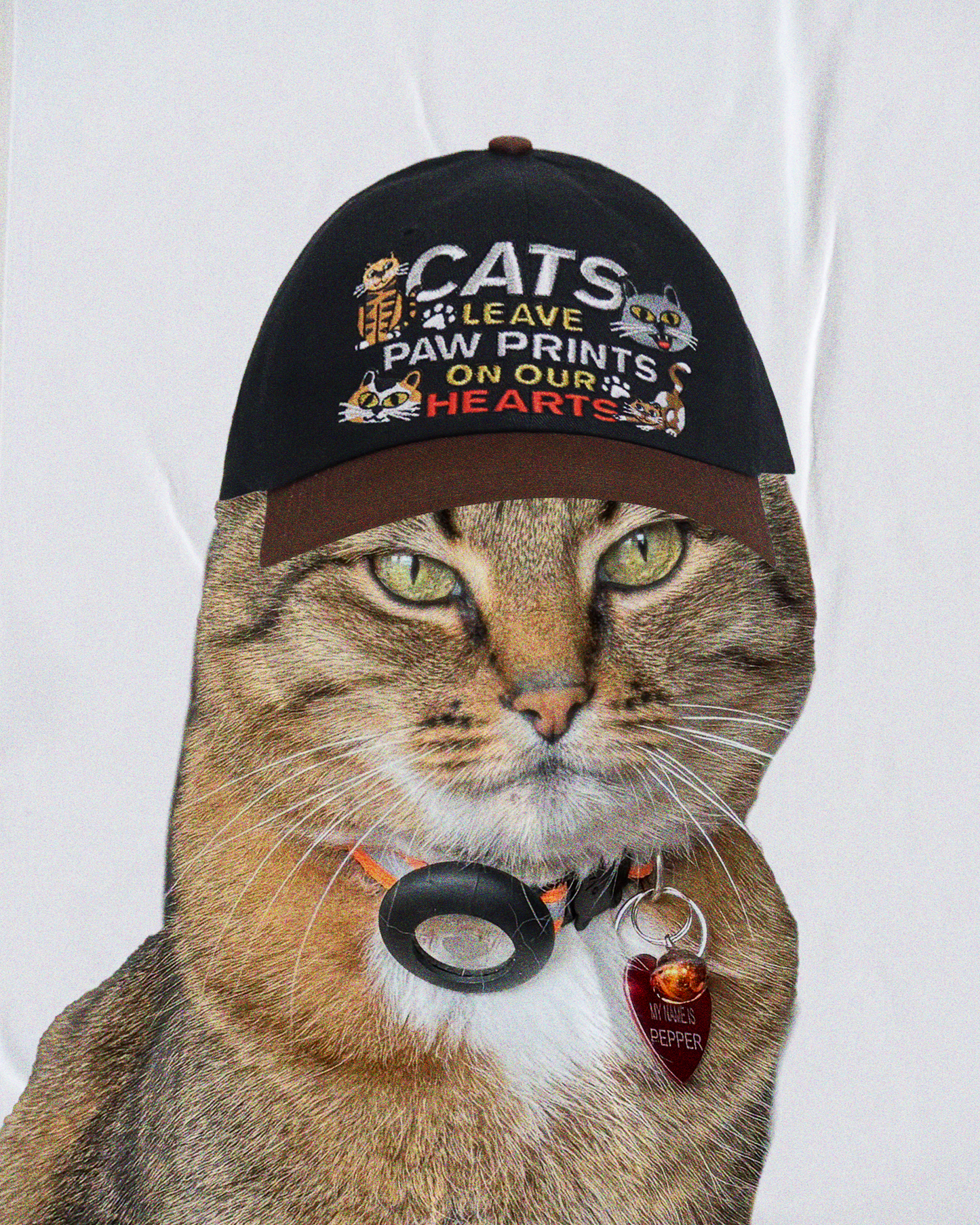 'Paw Prints' Dad Hat