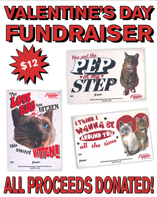 Valentine's Day Card Pack (Fundraiser)