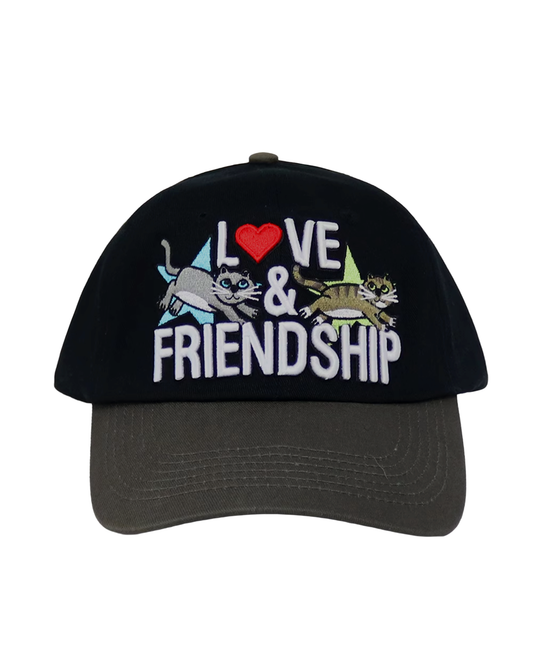 'Love and Friendship' Dad Hat