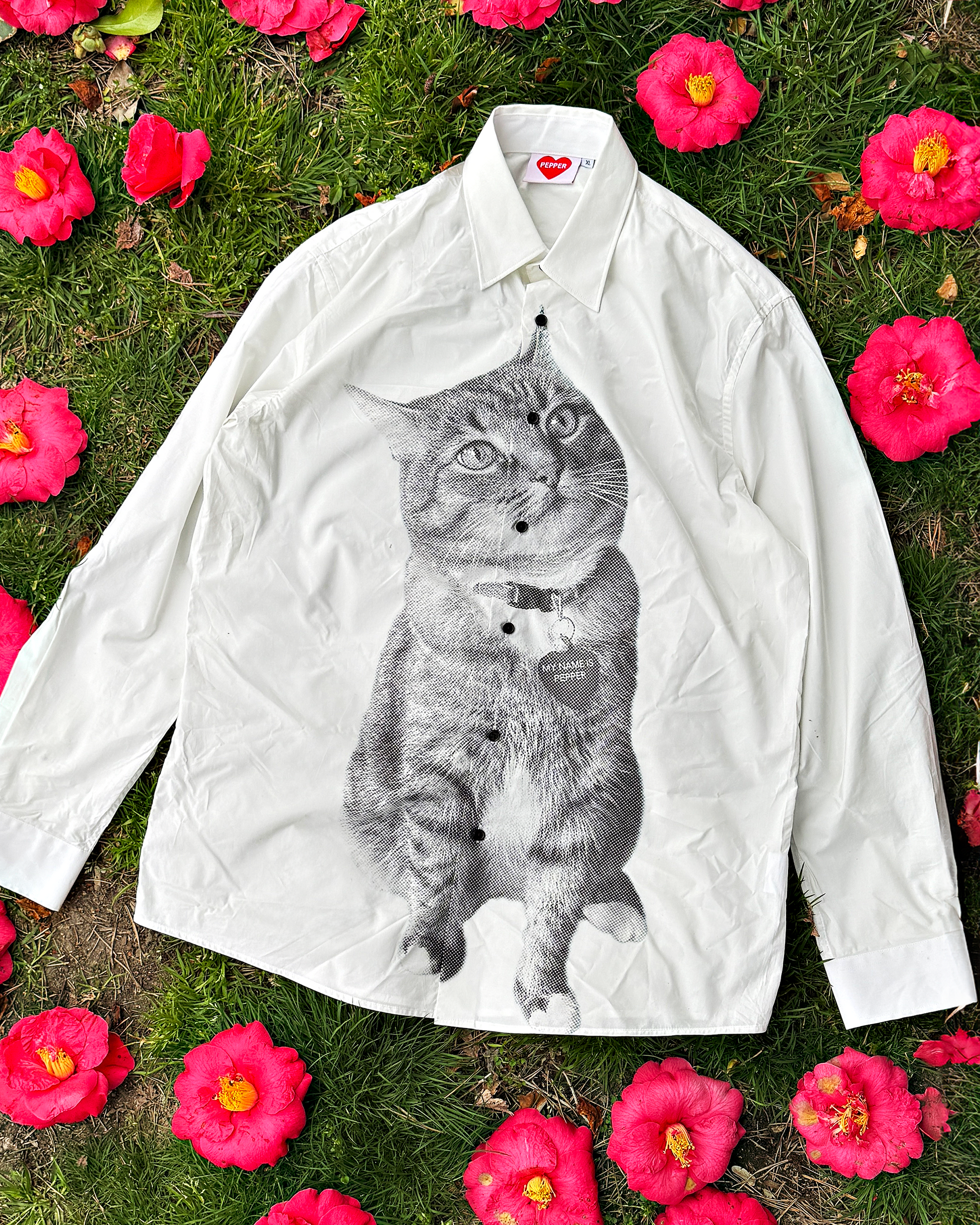 cat dress shirt Multi-color Cat Print Cotton Button-up Shirt