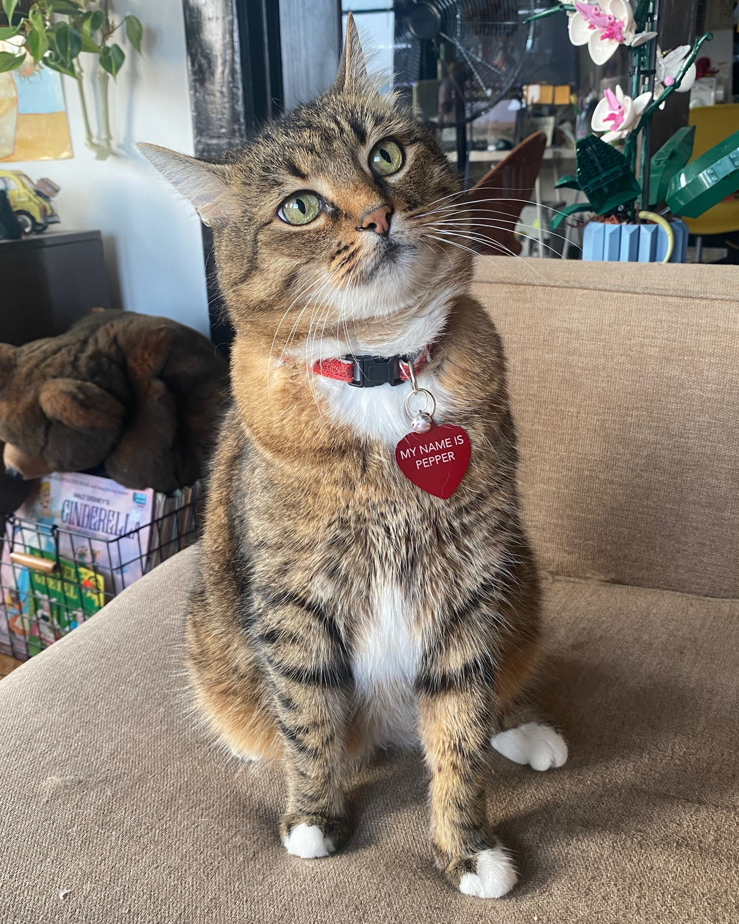 Handsome Cat Dress Shirt