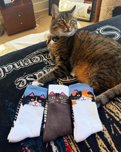 'Feline Faces' Socks Collection v2